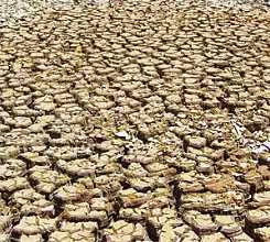 Uncertainty Looms Over Terrestrial Ecosystems