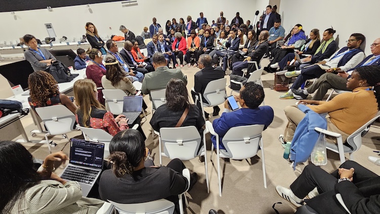 COP29: A Staggering Betrayal of the World’s Most Vulnerable